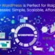 WordPress benefits for Raipur businesses showing website icons, cloud, charts, and digital tools on a tech-themed background.