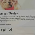 Social media interface showing sample user reviews and nonsense text