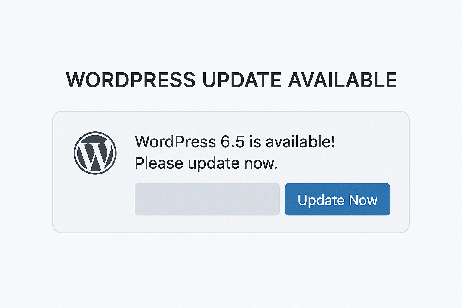 A notification box with the WordPress logo and message "WordPress 6.5 is available! Please update now." followed by a blue "Update Now" button.