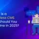 Illustration of a developer at a desk with two screens, coffee, and coding elements, beside the text "What is a Headless CMS and Should You Use One in 2025?" on a blue-purple gradient background.